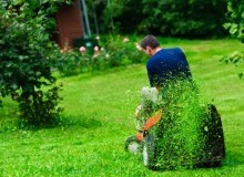 Kwikfynd Lawn Mowing
dargan
